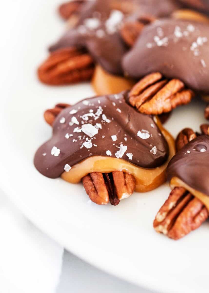 Chocolate turtles on a plate. 