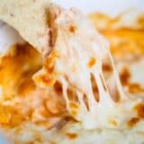 Buffalo chicken dip being dipped with a tortilla chip.