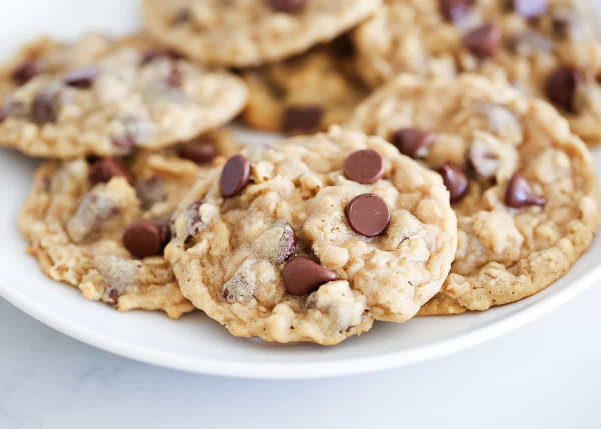 Oatmeal chocolate chip cookies on a white plate.