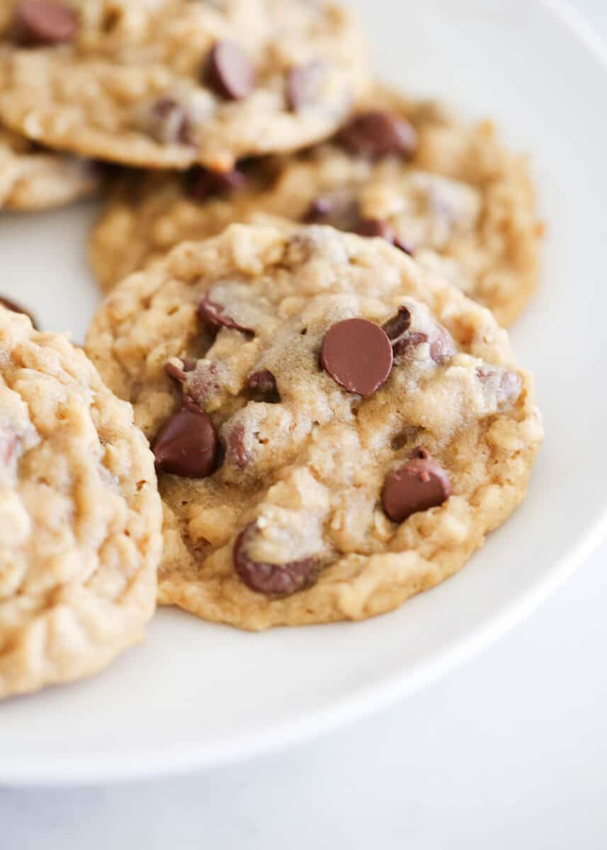 Oatmeal chocolate chip cookies on white plate.