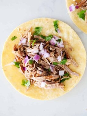 Carnitas meat on corn tortilla.