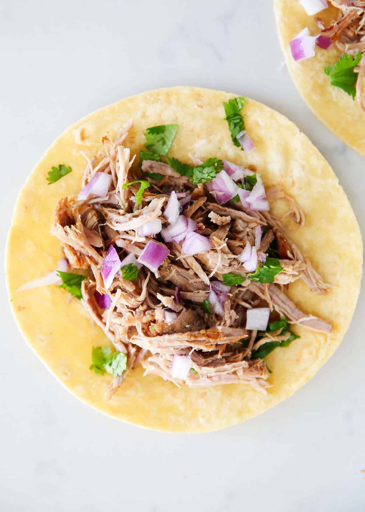 Carnitas meat on corn tortilla.