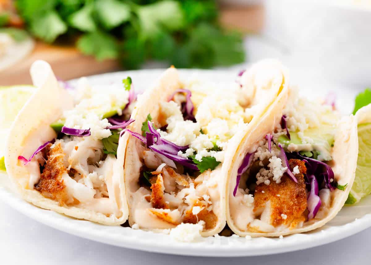 Tilapia fish tacos on a white plate.