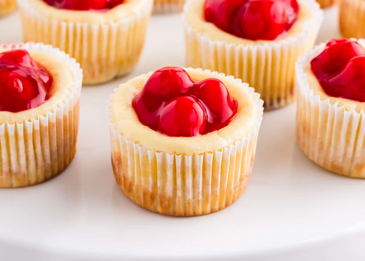 Mini cheesecakes with vanilla waffers. 