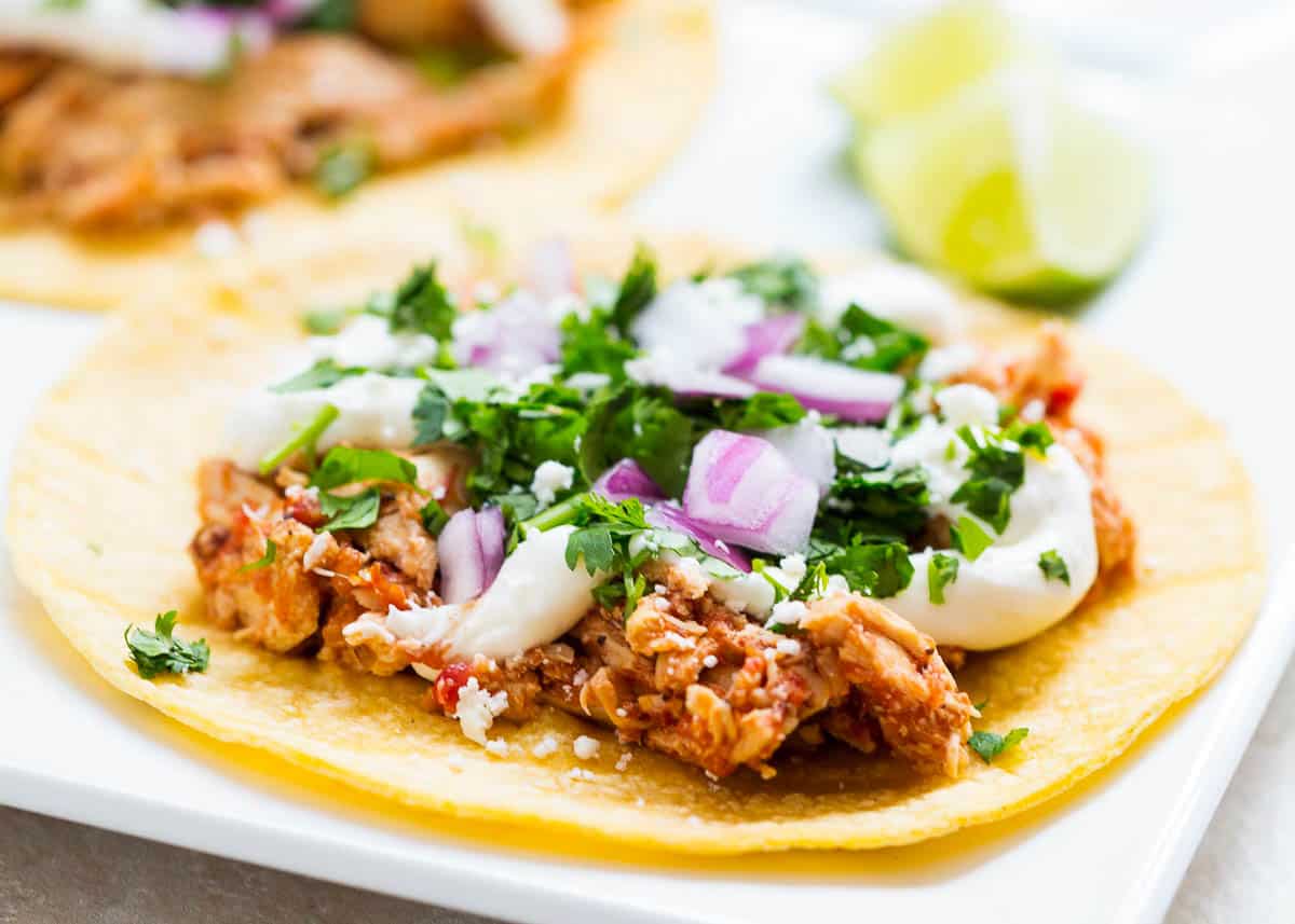 Chicken tinga tacos on a white plate.
