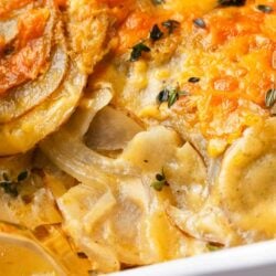 Potatoes au gratin in a white baking dish.