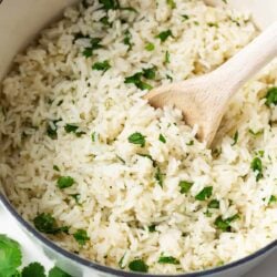 Cilantro lime rice in a white pot.