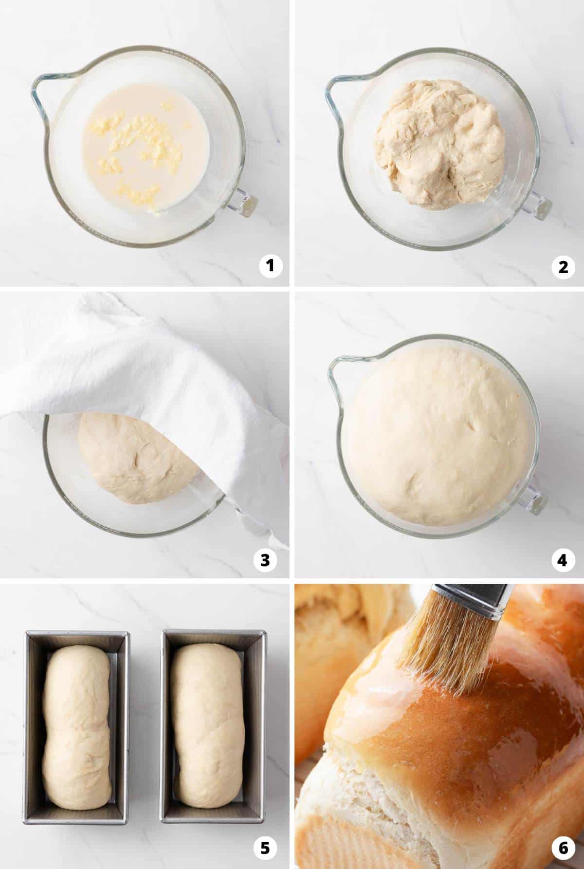 Showing how to make homemade bread in a 6 step collage.