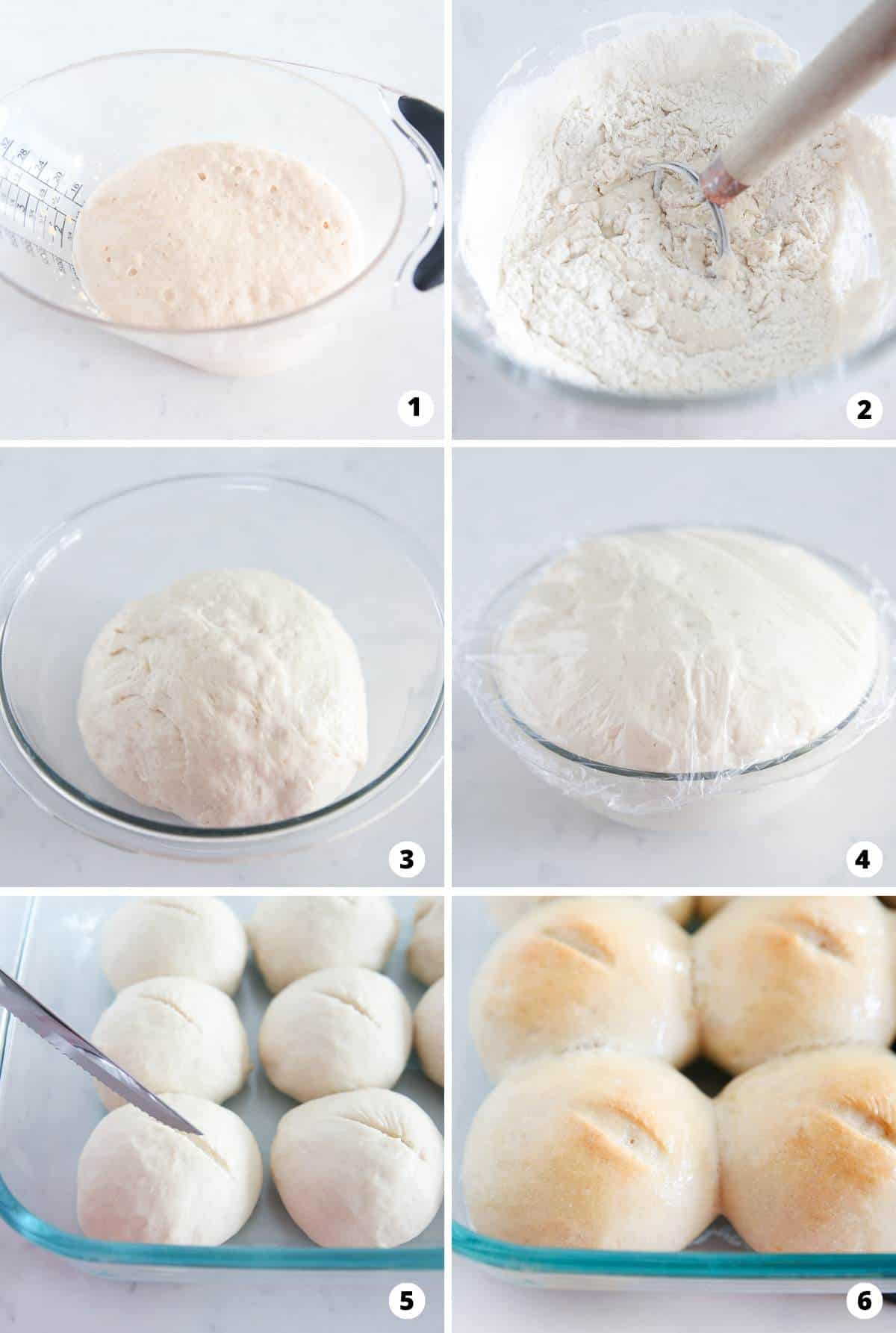 Showing how to make french bread rolls in a 6 step collage.