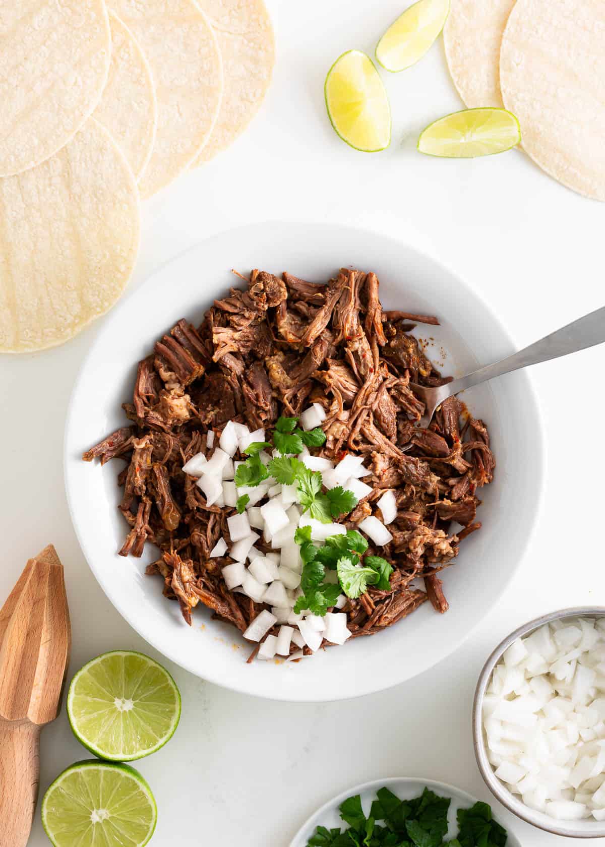 Beef birria in a white bowl with onions and cilantro.