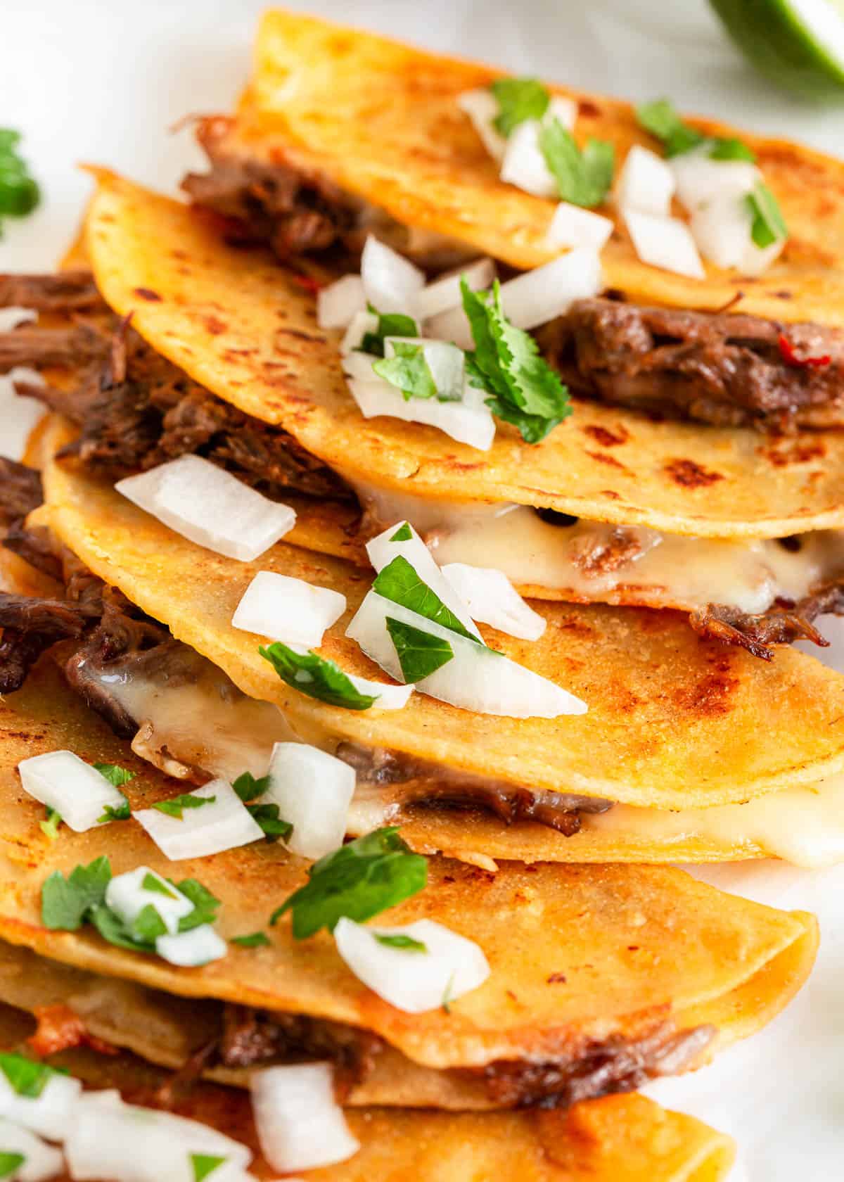 Close up of birria tacos.