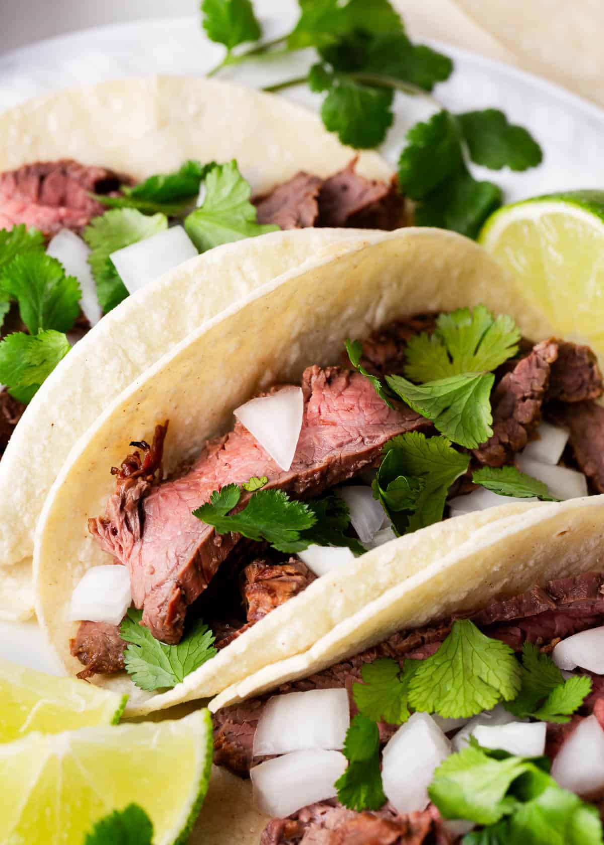 Close up of carne asada taco on a plate.