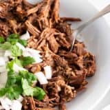 Beef birria in a white bowl.