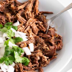 Beef Birria - I Heart Naptime