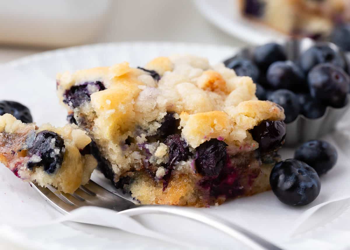 Blueberry coffee cake slice on a white plate.