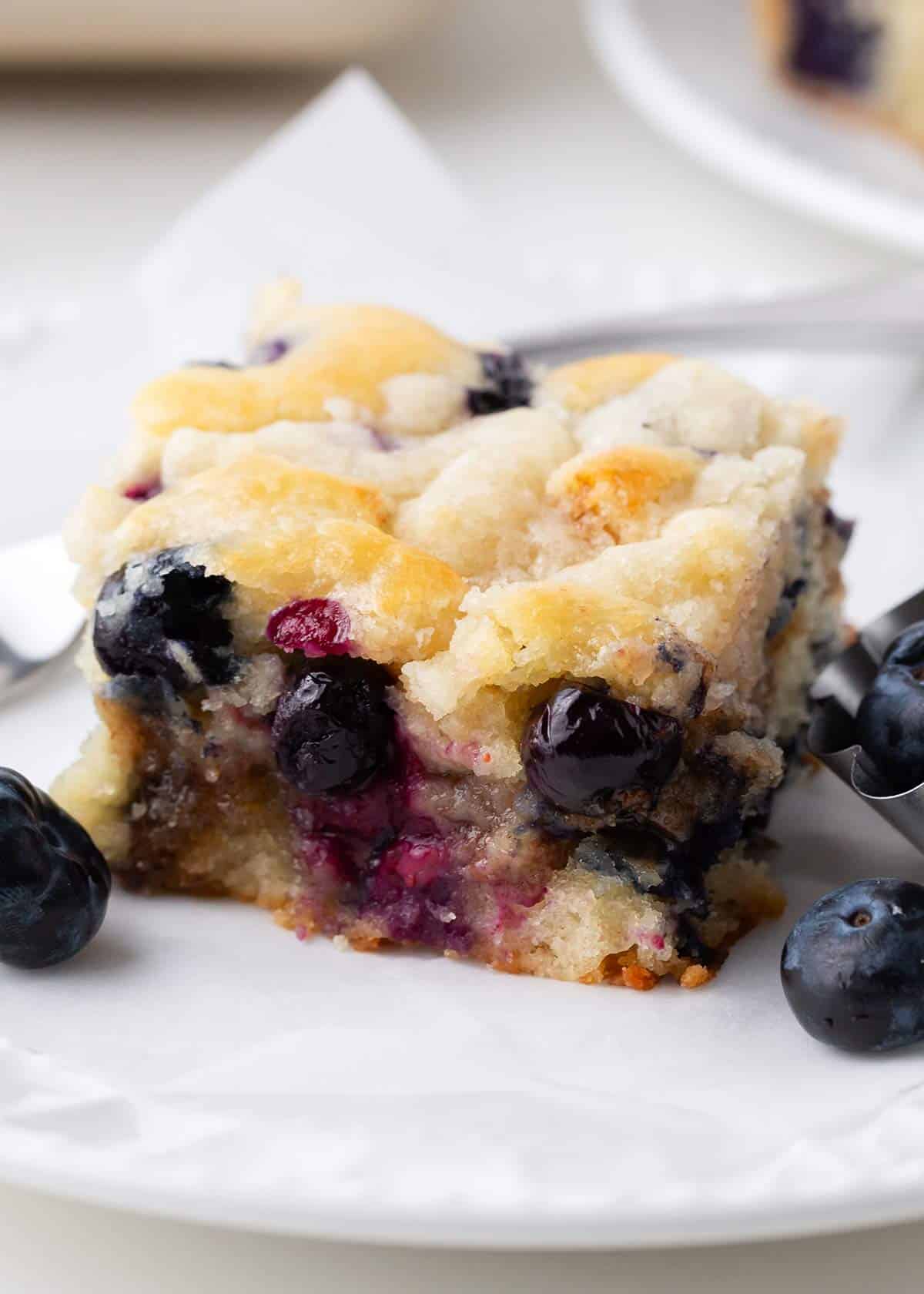 Blueberry coffee cake slice on a white plate.