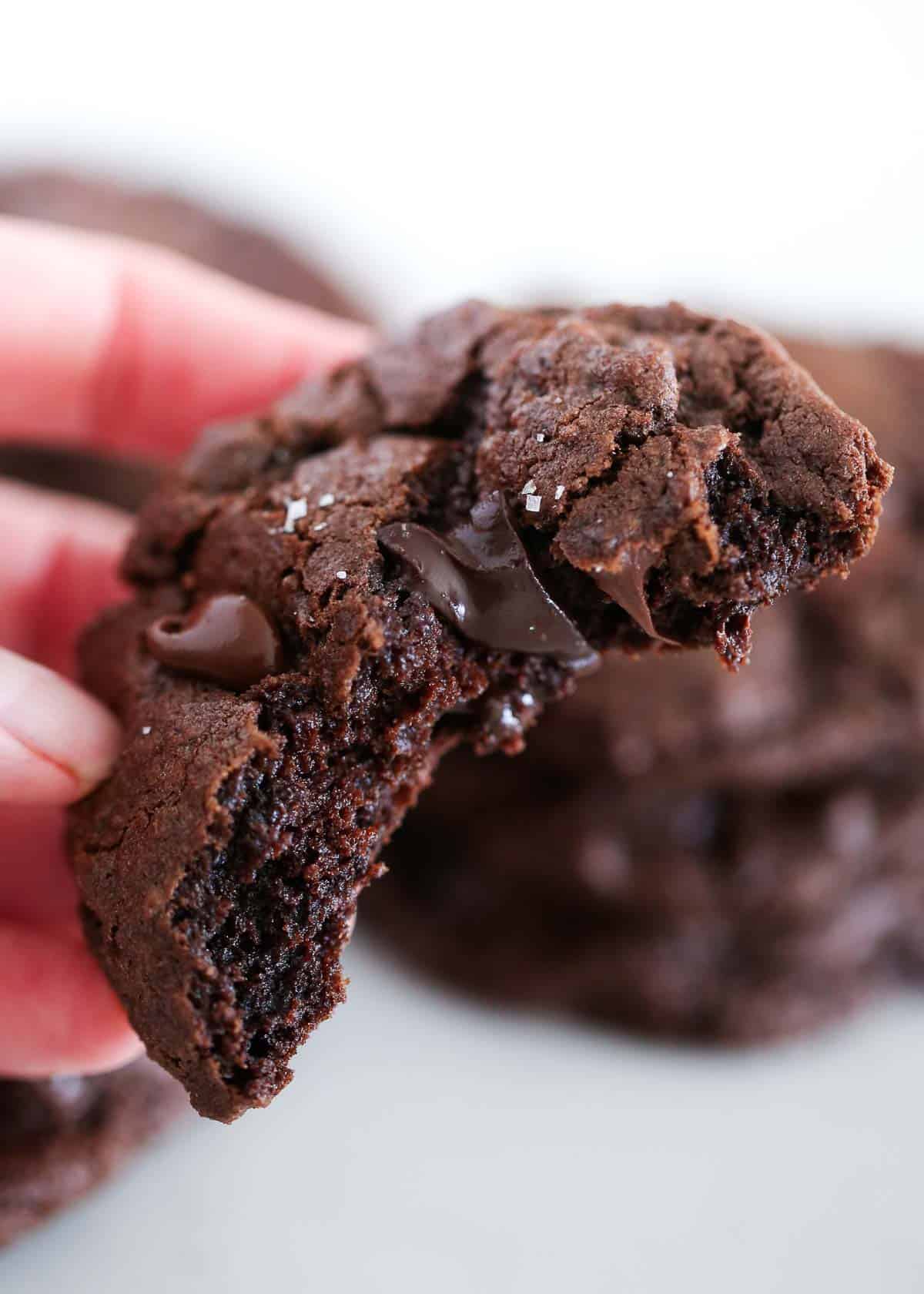 A double chocolate chip cookie that has a bite taken out of it held in a hand.