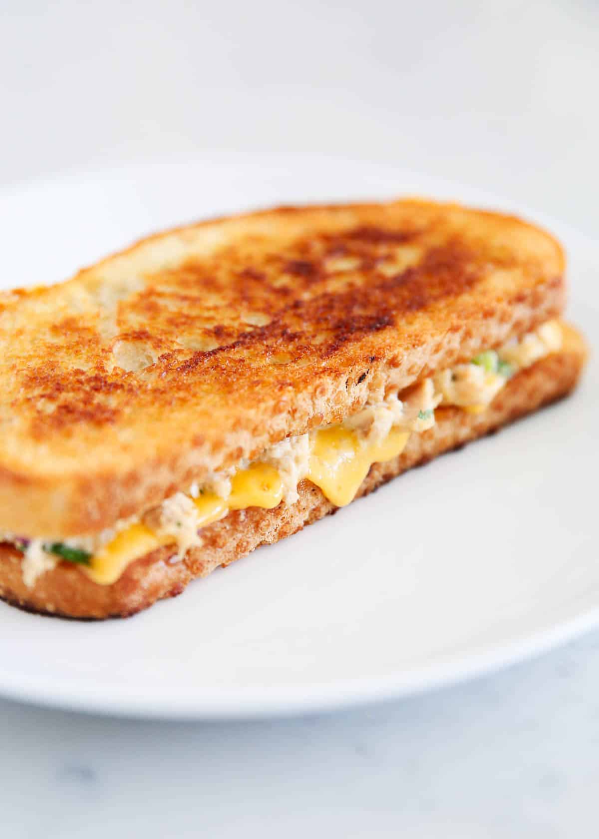 Tuna melt on a white plate.