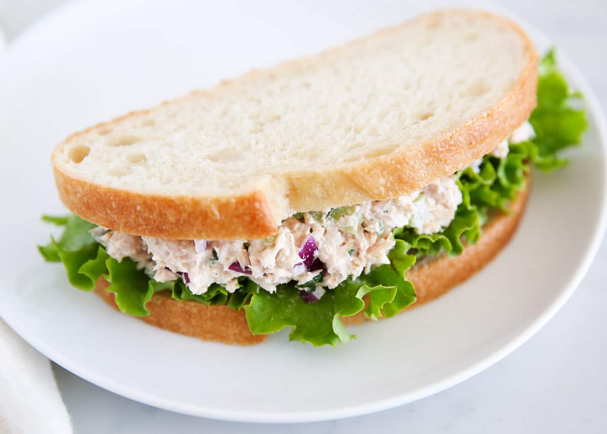 Tuna salad sandwich on a white plate. 