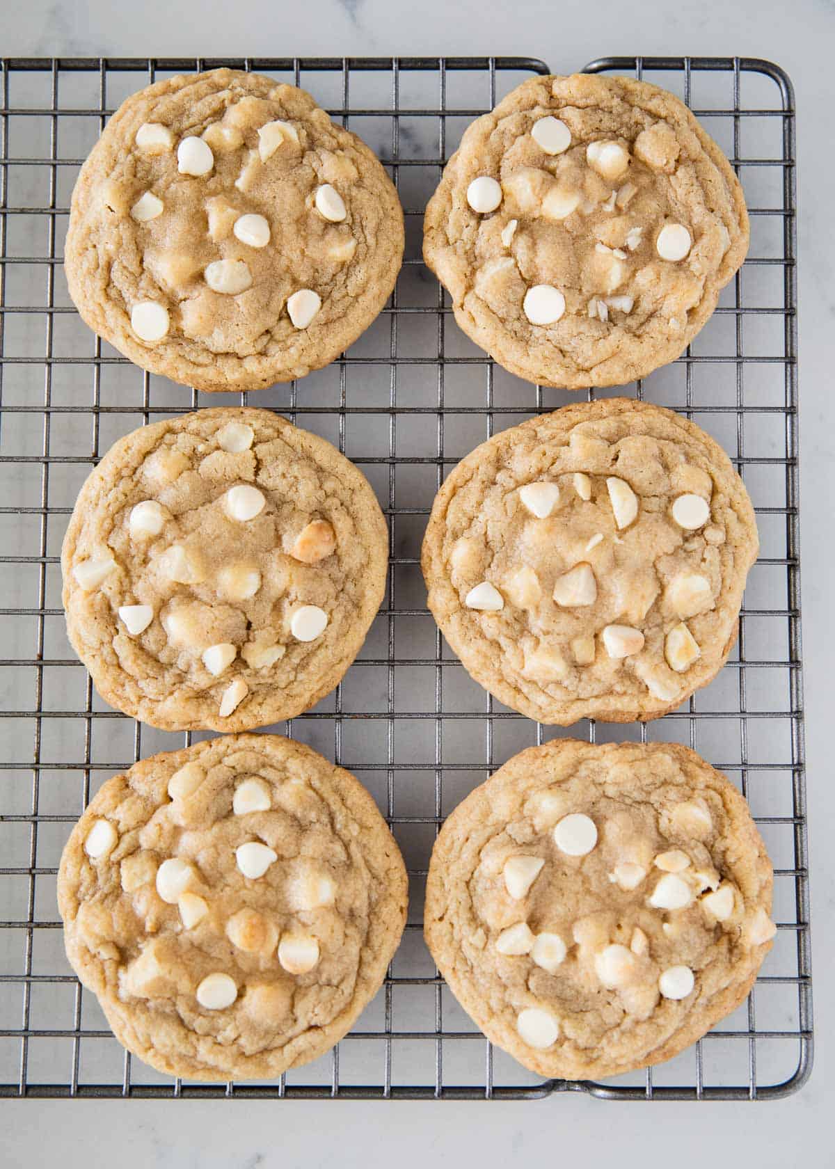 Baked macadamia nut cookies on a cooling rack. 