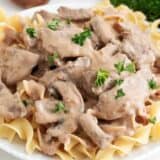 Beef stroganoff over noodles in a white bowl.