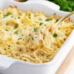 Chicken tetrazzini in a white baking dish.