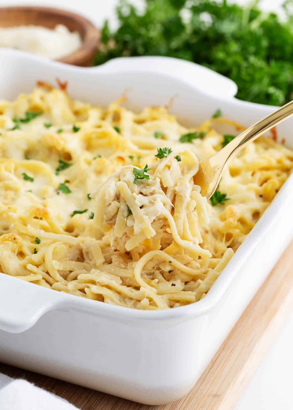 Chicken tetrazzini in a white baking dish.