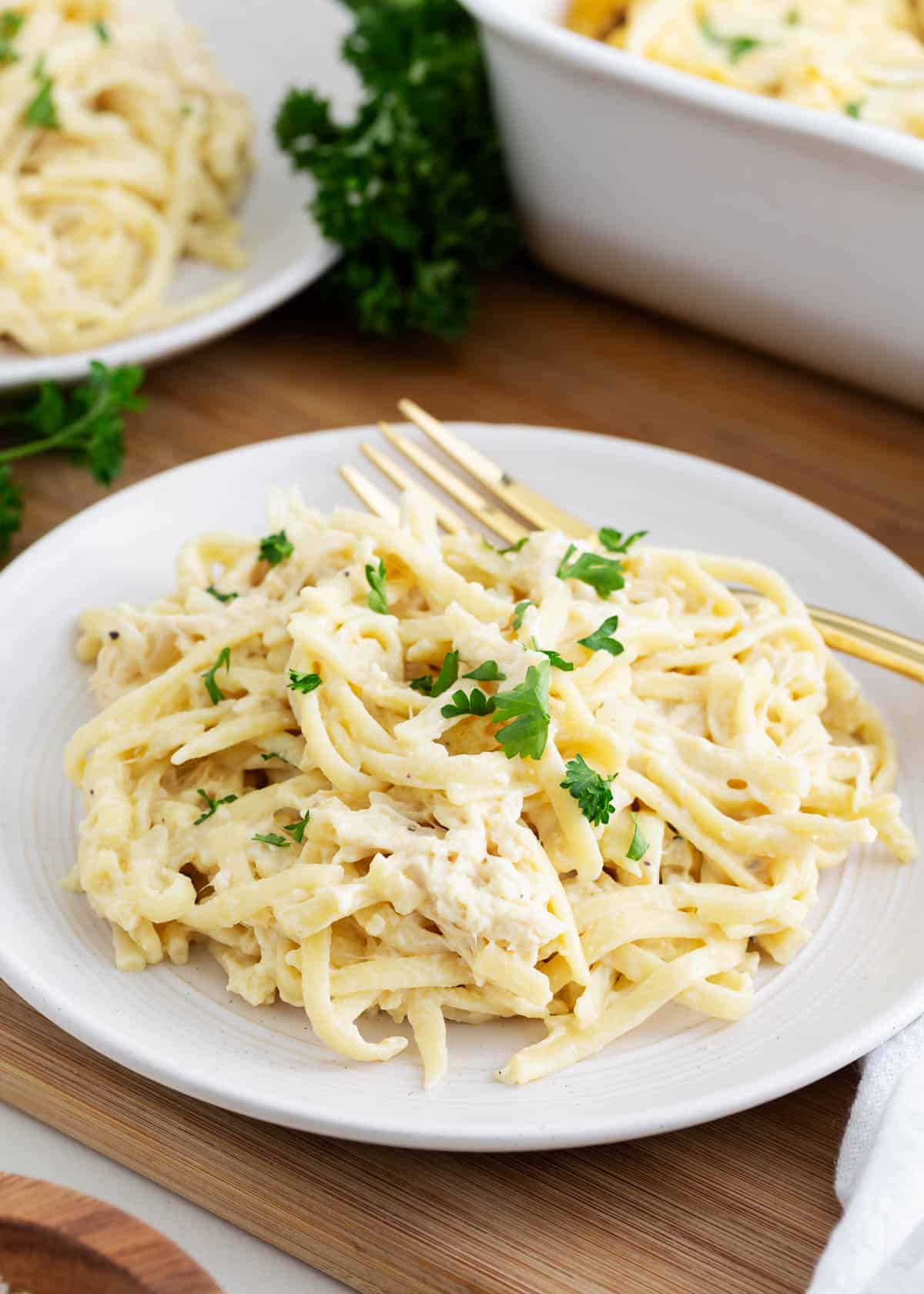 Chicken tetrazzini on a white plate.