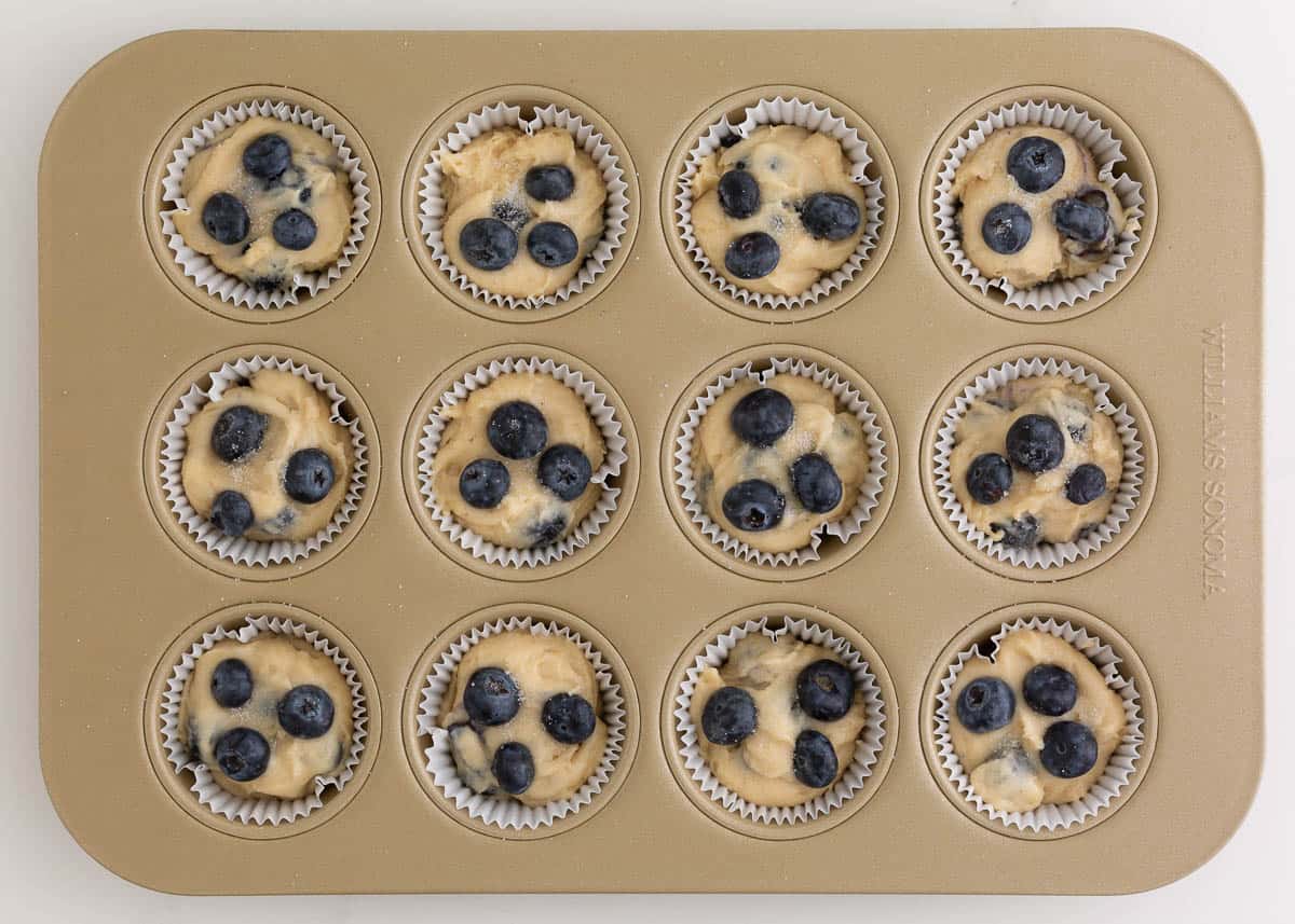 Blueberry muffins in a muffin tin.