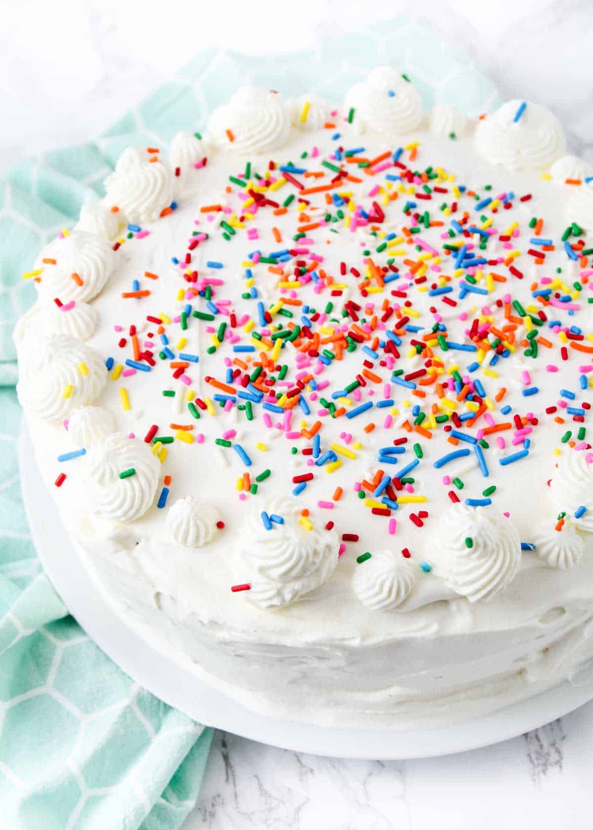 An ice cream cake on a white serving plate. 