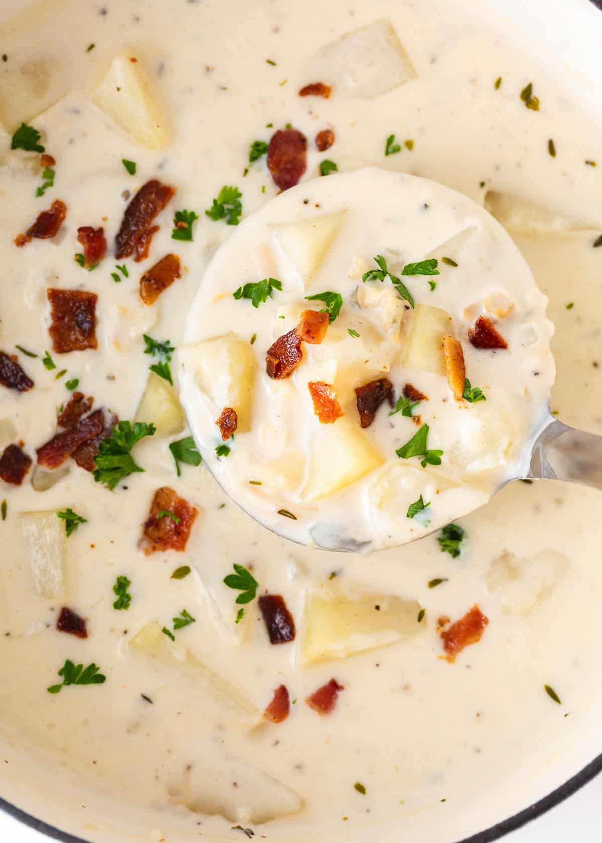 Ladle full of clam chowder.