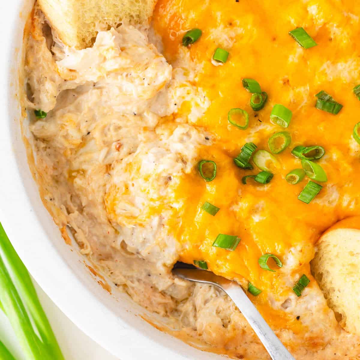 Easy Appetizer Dip Recipes - I Heart Naptime