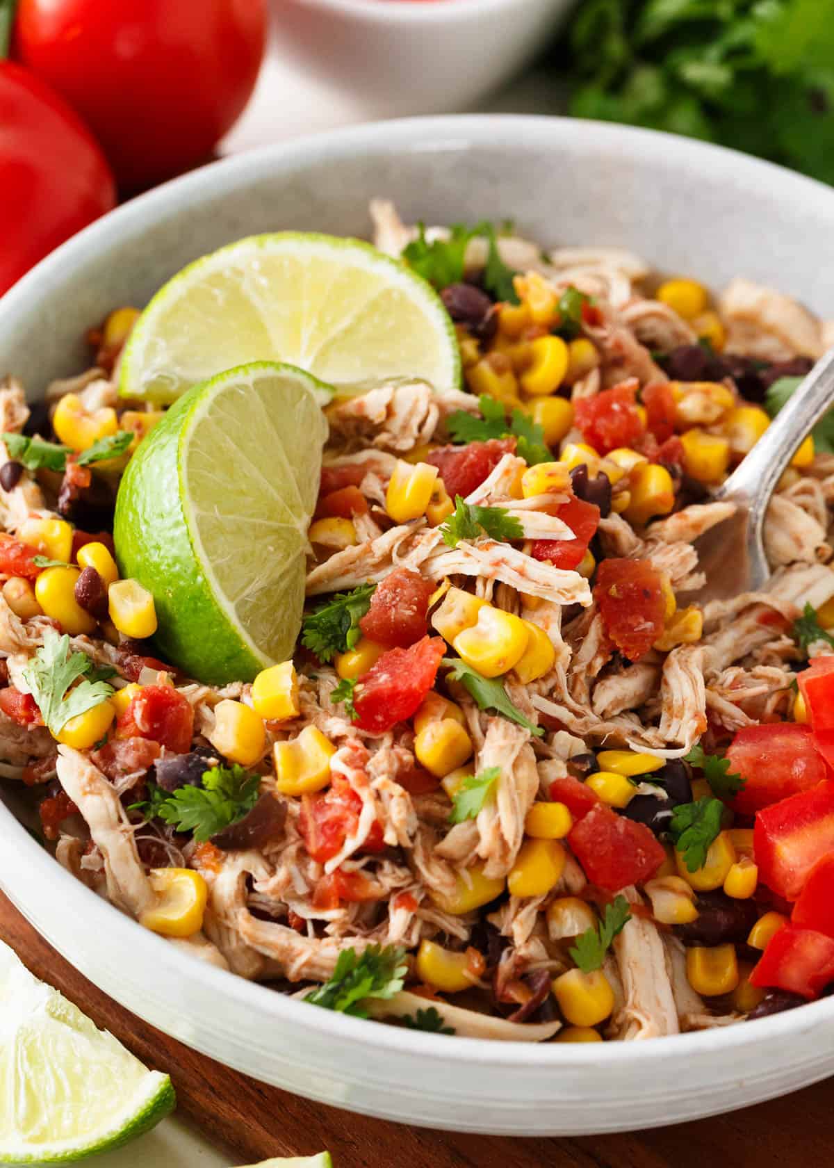 Spoonful of shredded Mexican chicken.