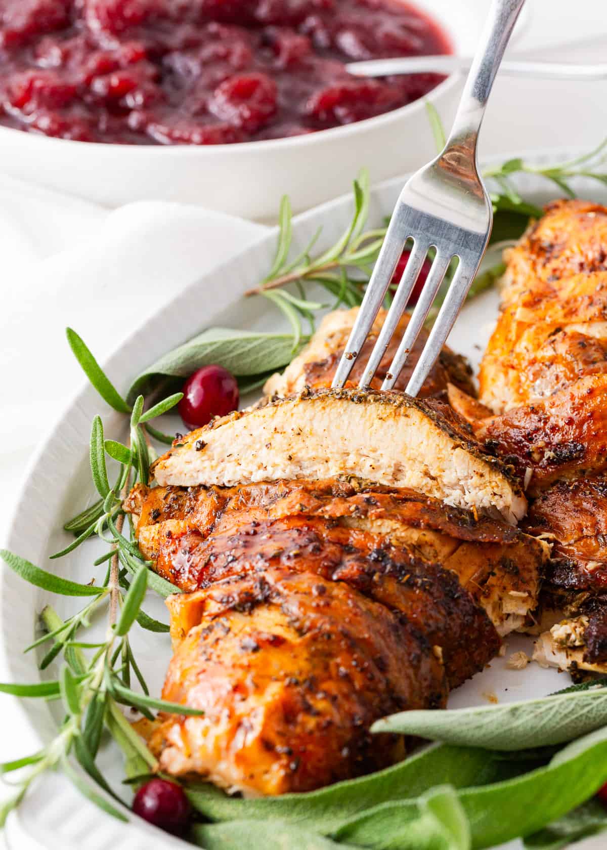 Slice of turkey breast on platter.