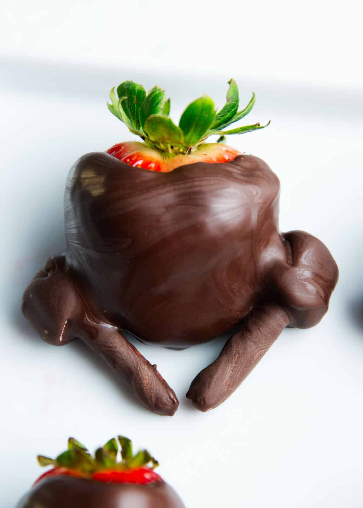 Chocolate turkey clearance
