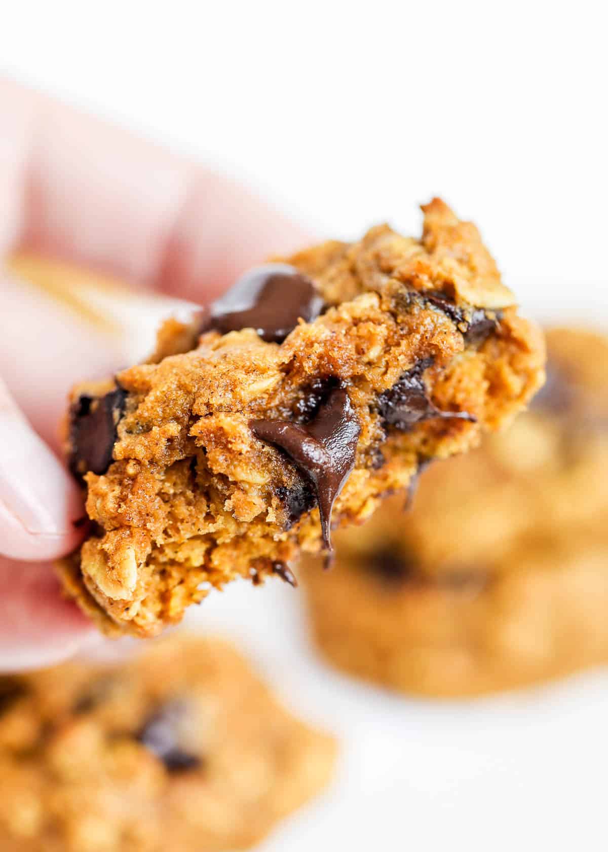 Piece of pumpkin oatmeal chocolate chip cookies.