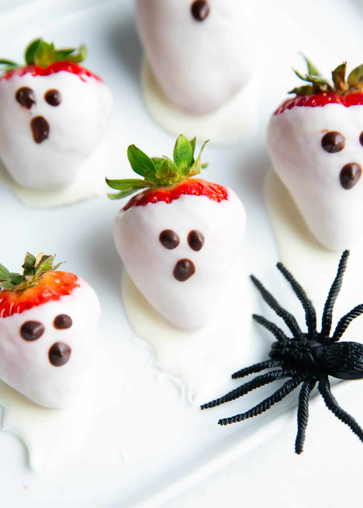 Chocolate covered strawberry ghosts on a plate. 