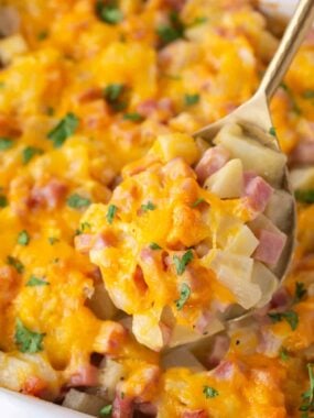 Spoonful of ham and potato casserole.