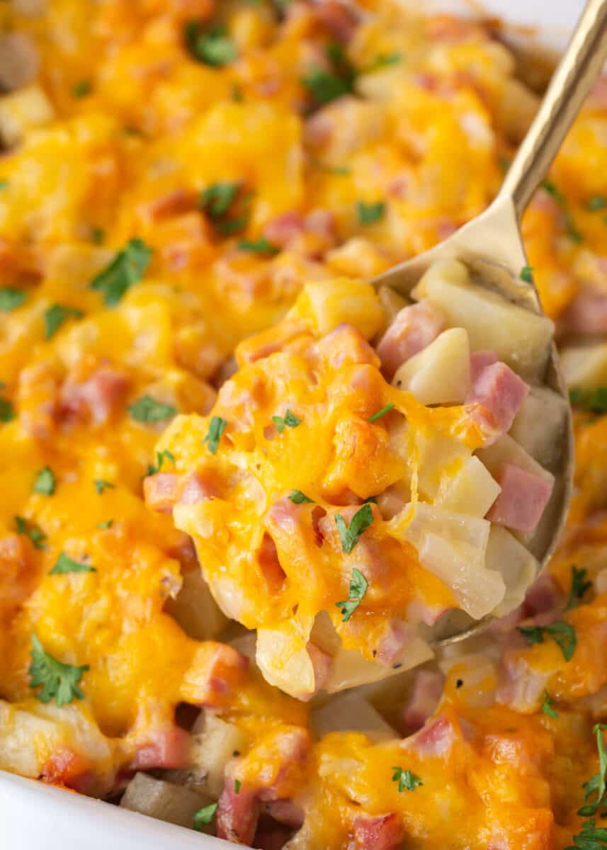 Spoonful of ham and potato casserole.