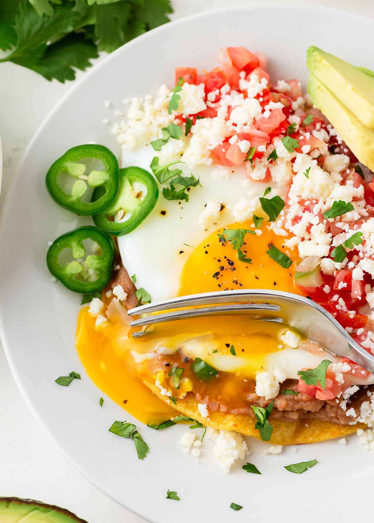 Best huevos rancheros on a plate.