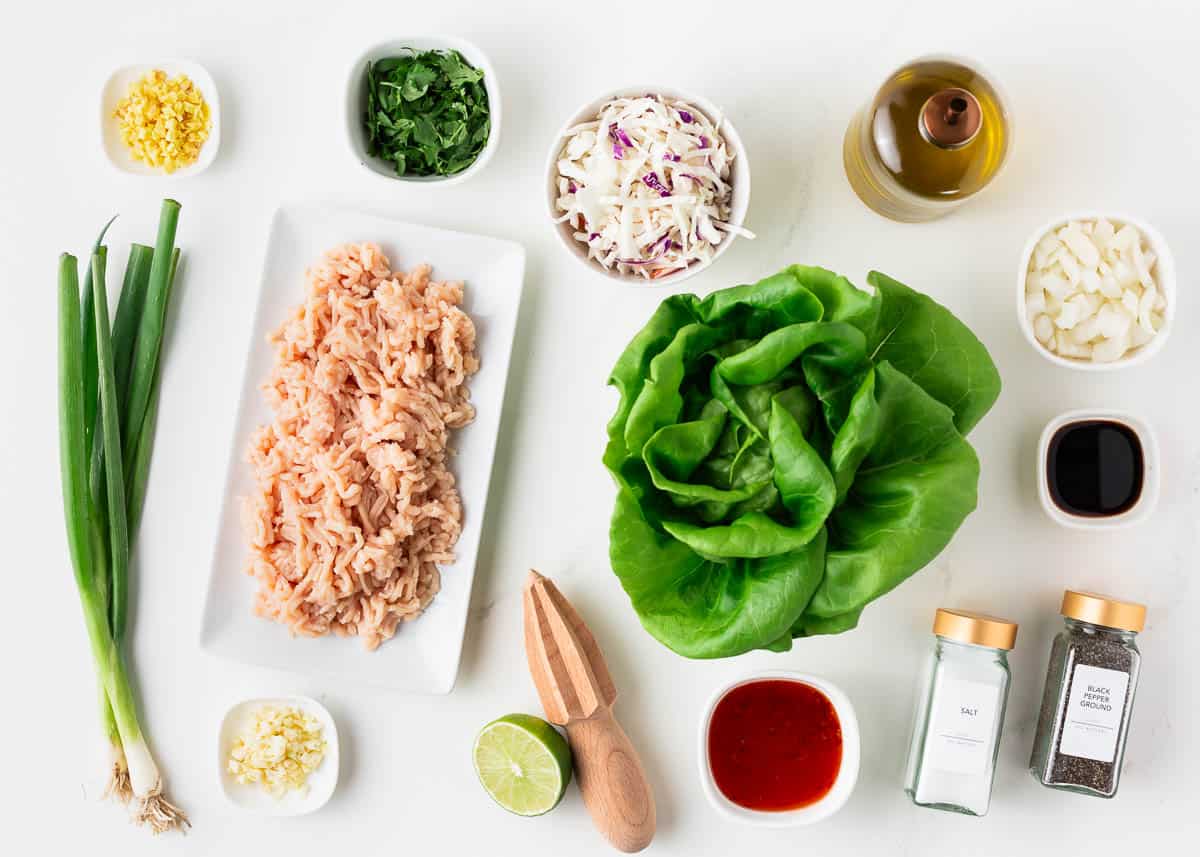 Thai lettuce wrap ingredients on counter.