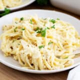 Turkey tetrazzini on a white plate.