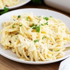 Turkey tetrazzini on a white plate.