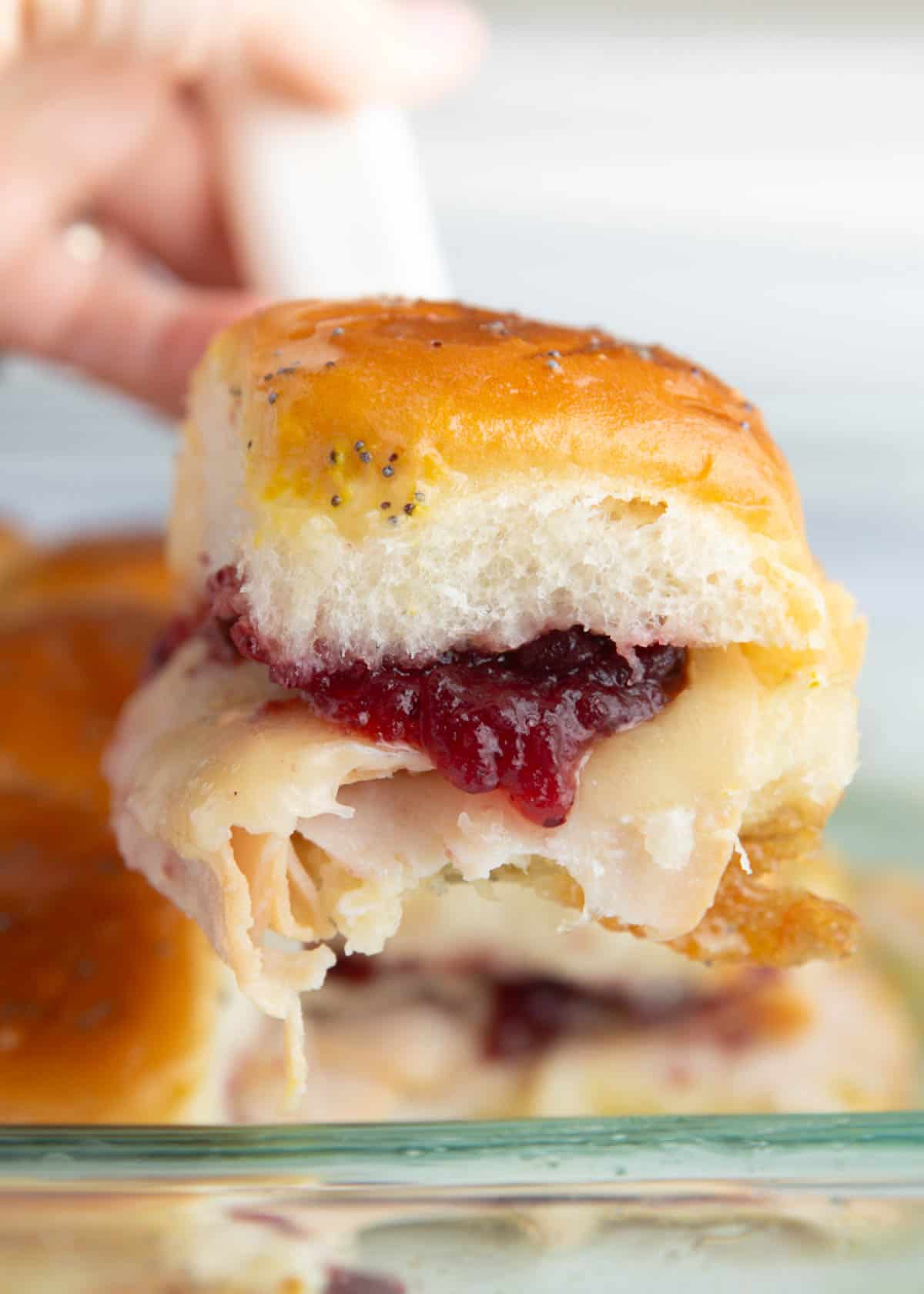 Turkey cranberry slider in pan.