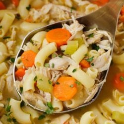 Ladle full of the best turkey soup recipe.