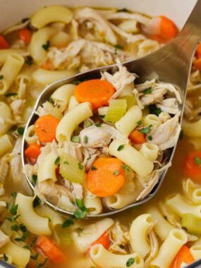 Ladle full of the best turkey soup recipe.