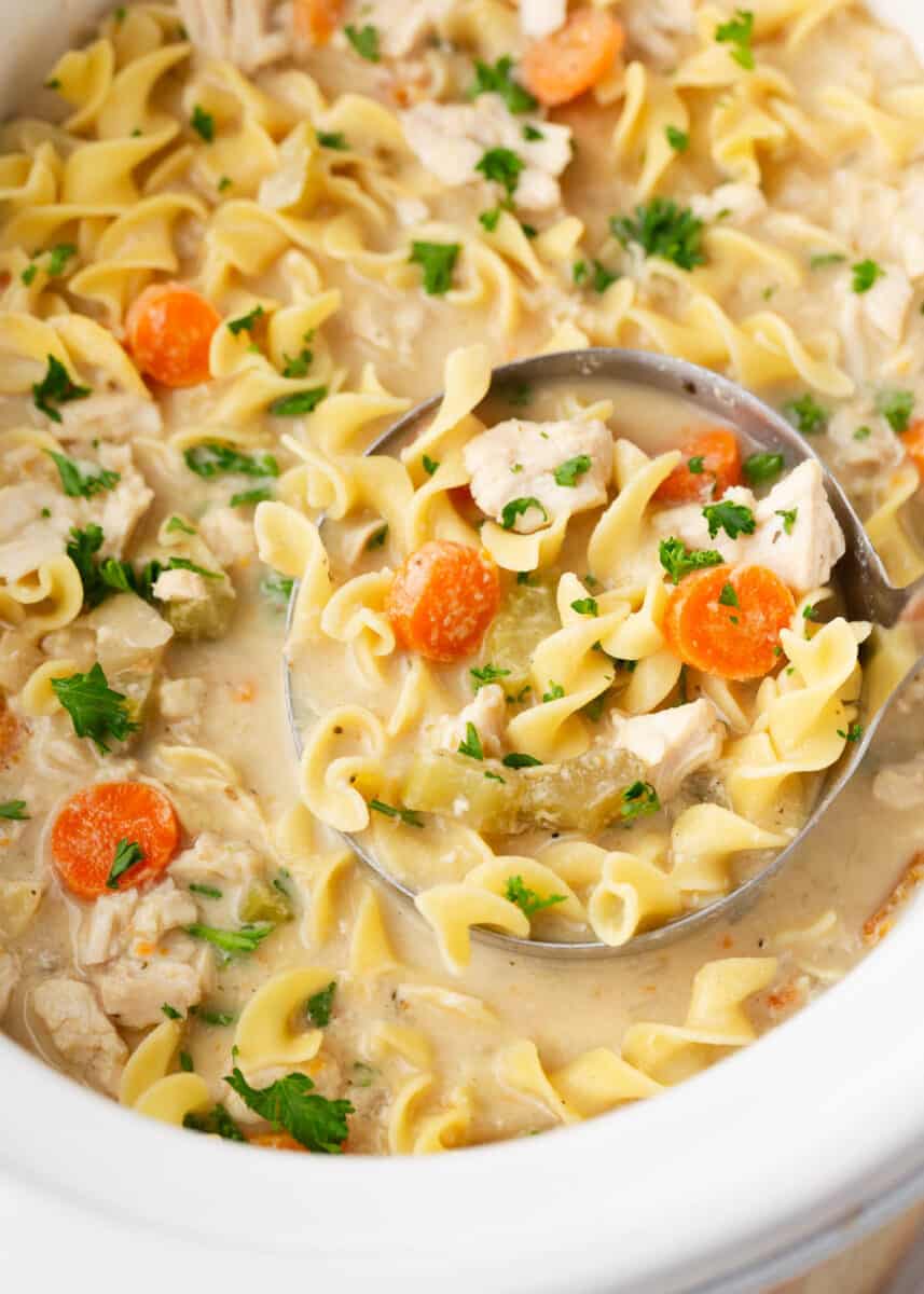 Crockpot Chicken Noodle Soup - I Heart Naptime