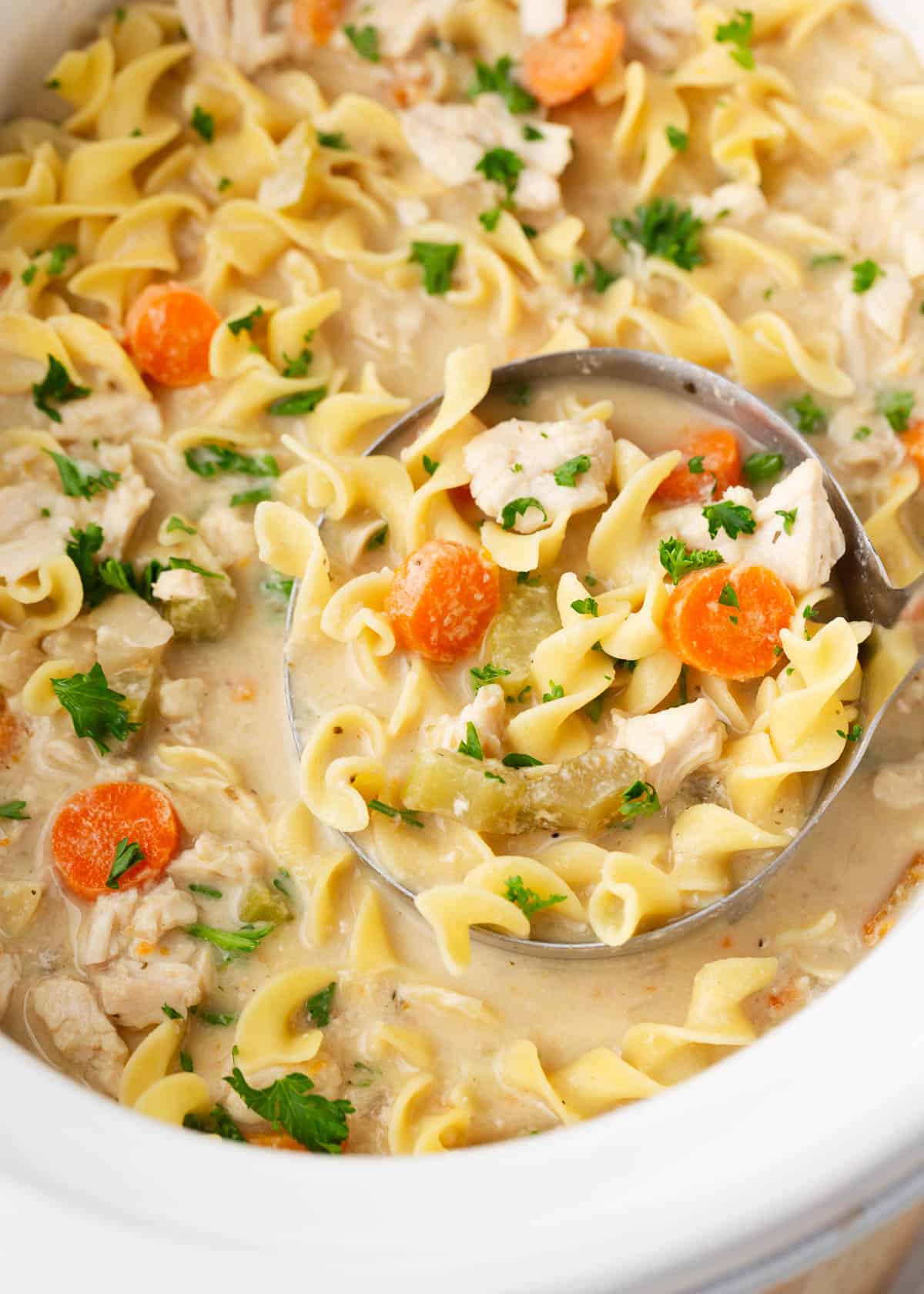 Crockpot chicken noodle soup.