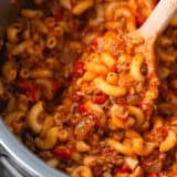 Spoonful of instant pot goulash.