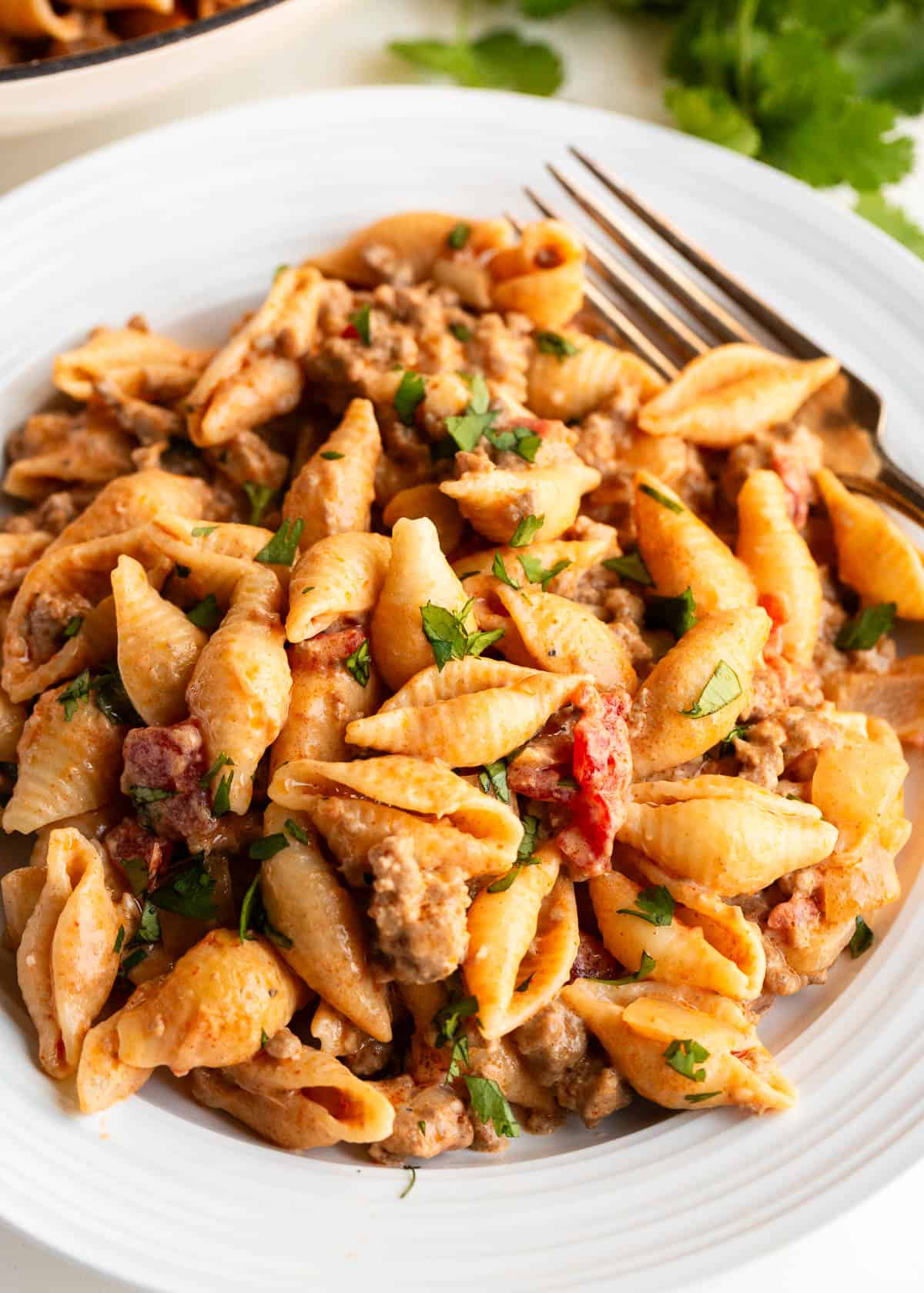 Taco pasta on a plate.